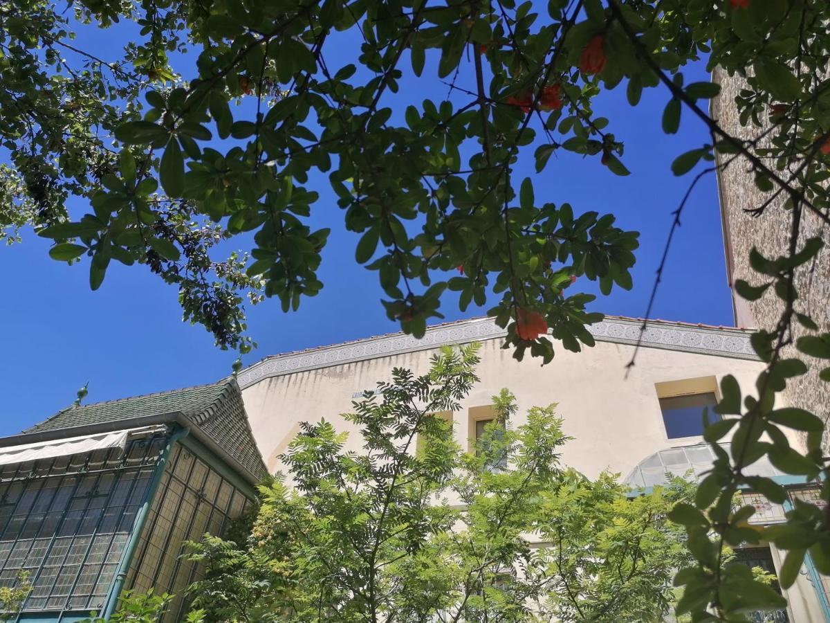 Villa Sainte Marie Narbonne Exterior foto